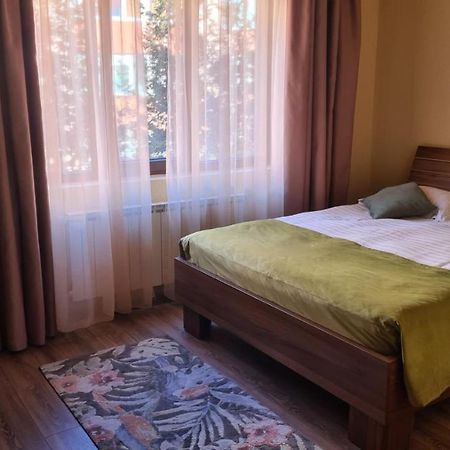 Hotel Gema 布拉索夫 外观 照片
